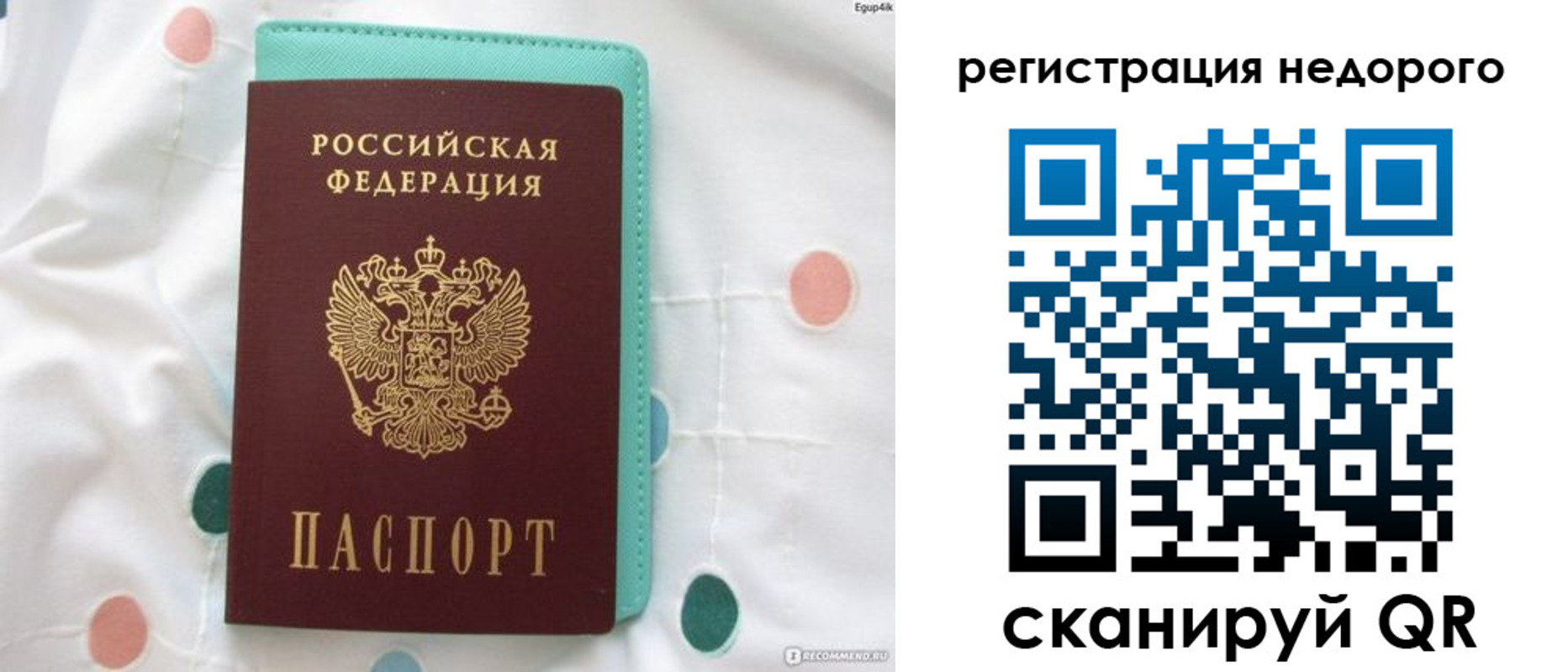 прописка для школы в Электрогорске